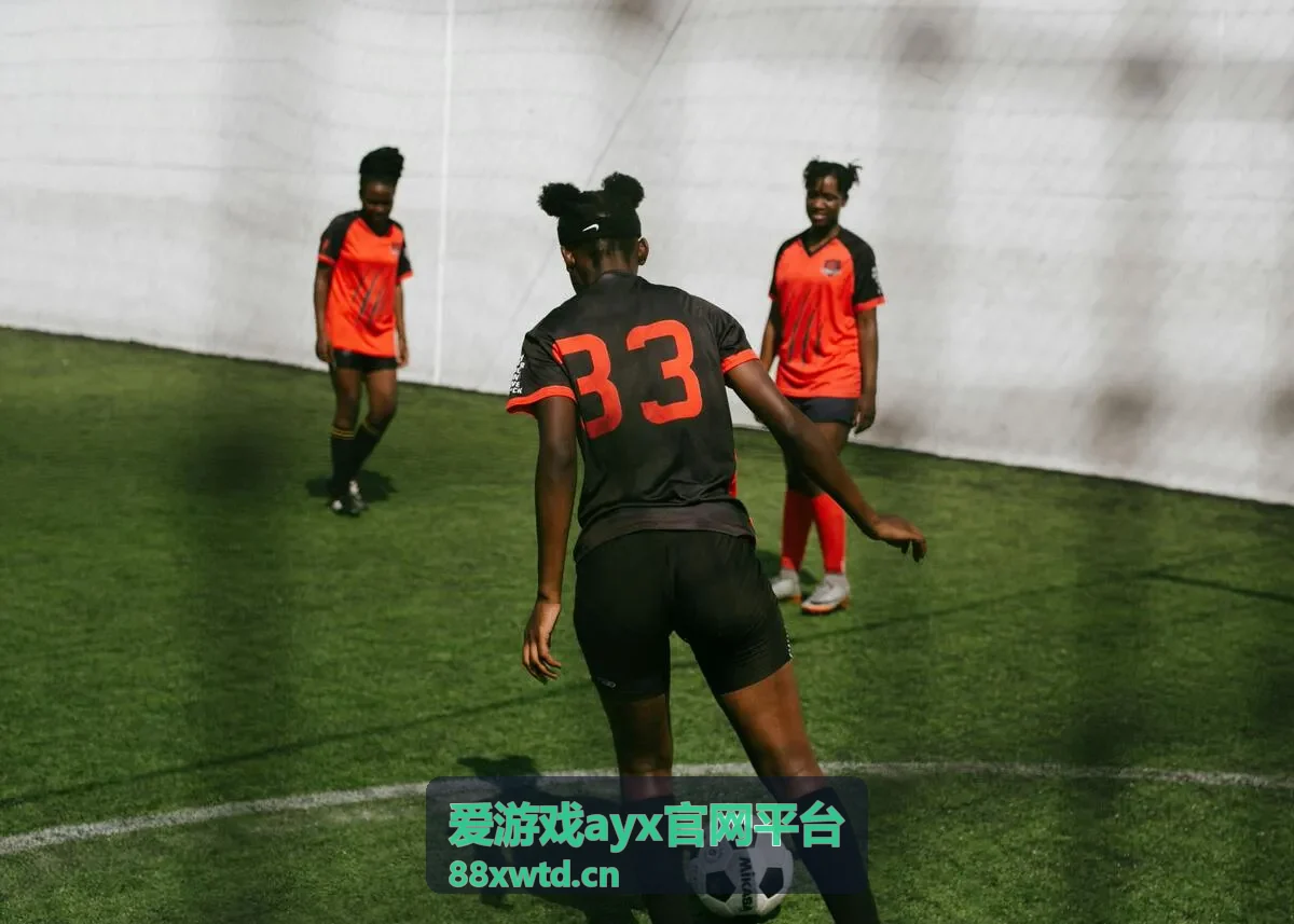 爱游戏ayx官网平台账号与安全服务说明配图